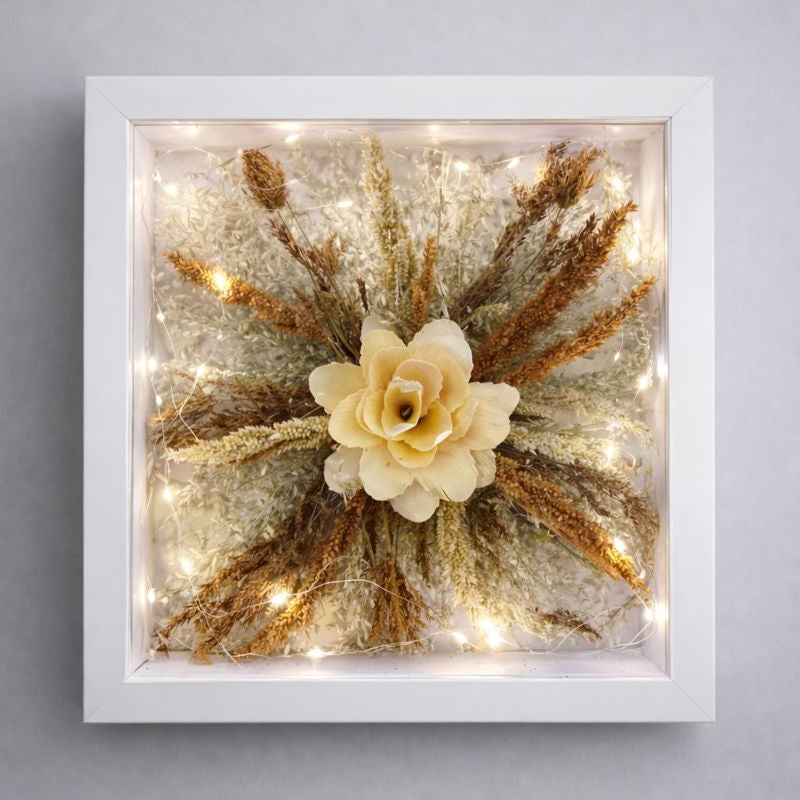 Shadowbox Frame + LED lights