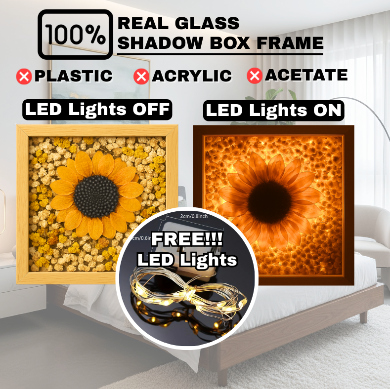 Shadowbox Frame + LED lights