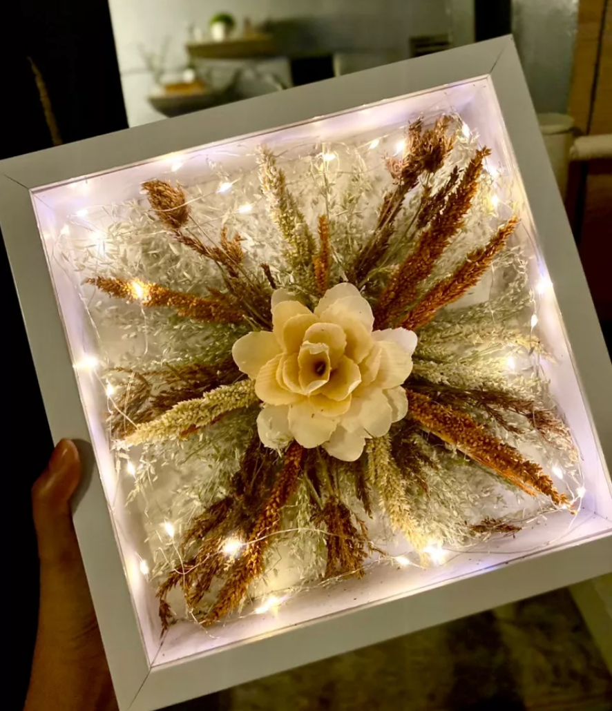 Shadowbox Frame + LED lights