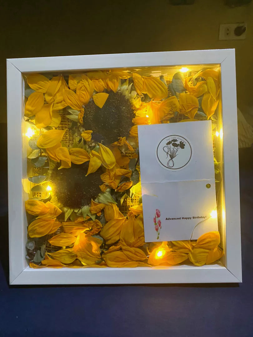 Shadowbox Frame + LED lights